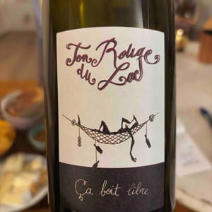 Ton Rouge Du Lac - Ça Boit Libre - damien-bastian-goddard -2020