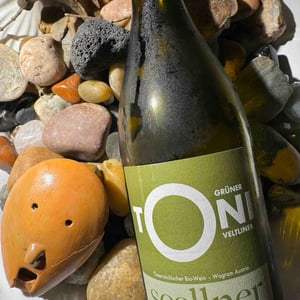 Toni Gruner Veltliner - Bioweingut Soellner - daniela-vigne-toni-sollner -2021