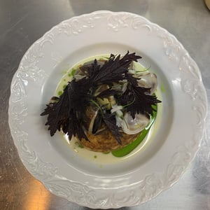 Tortilla De Bacalhau & Clams - Minot - 894039