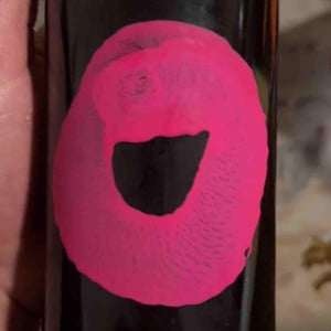 Transcendent - Milan Nestarec - milan-nestarec