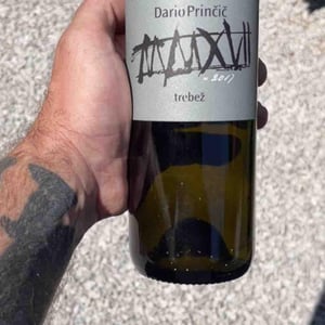 Trebez - Dario Prinčič - dario-princic -2015