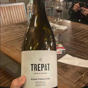 Trepat - Conca de Barbera - josep-foraster