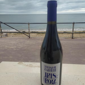 Tres Potz - Domaine la Calmette - maya-sallee-nicolas-fernandez