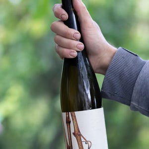 Trieb - Peter Kozma - peter-kozma -2022