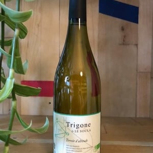 Trigone Blanc - Le Soula - wendy-wilson