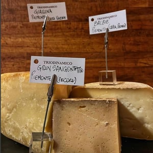 Tris Di Formaggi - Triodinamico - 975035