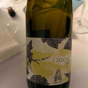 Trogne - Domaine Ludovic Archer - Ludovic Archer -2022