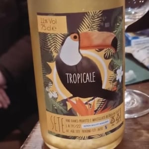 Tropicale - Sete - Vini Naturali - Emiliano Giorgi, Arcangelo Galuppi, Martina D’Alessio