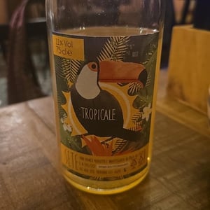 Tropicale - Sete - Vini Naturali - emiliano-giorgi-arcangelo-galuppi-martina-dalessio