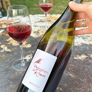 Trousseau - Domaine des Ronces - michel-kevin-mazier