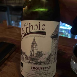 Trousseau - Domaine Villet - Gérard & Christine Villet