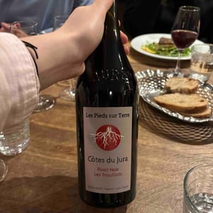 Trousseau Les Trouillots (new label) - Les Pieds Sur Terre - valentin-morel -2022