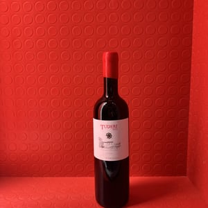 Tuderi - Tenute Dettori - alessandro-dettori