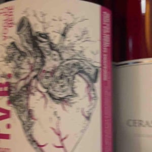 T.V.B. - Agricola VinB - biagio-distefano-vittorio-dangelo