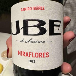 UBE Miraflores - Cota 45 - ramiro-ibanez -2021
