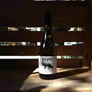 Uivo Branco Vinhas Velhas - Folias de Baco - tiago-sampaio -2022