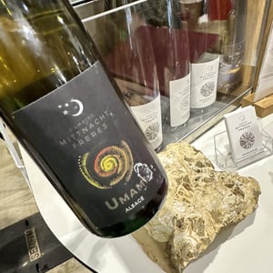 Umami - Mittnacht Frères - marc-andre-paule-mittnacht -2021