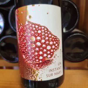 Un Instant Sur Terre - Vignoble du Rêveur - mathieu-deiss-emmanuelle-milan