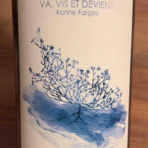 Va, Vis et Deviens - Chai Karine Farges - Karine Farges -2023