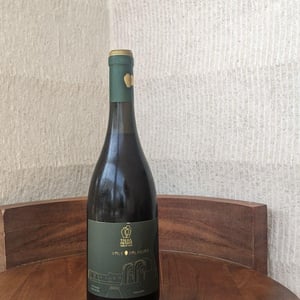 Vale Palheiro - Talha De Frades - talha-de-frades -2019