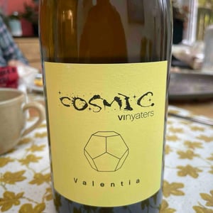 Valentia - Còsmic Vinyaters - salvador-batlle-barrabeig