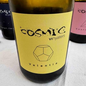 Valentia - Còsmic Vinyaters - salvador-batlle-barrabeig