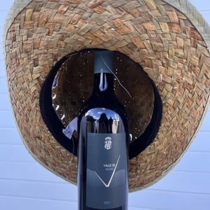 Valle di mare - Comte Abbatucci - jean-charles-abbatucci -2002