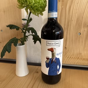 Valpolicella doc - La corte del pozzo - matteo-e-natalino-fasoli -2022
