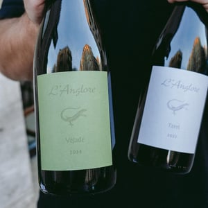 Véjade - L'Anglore - eric-thibault-joris-pfifferling