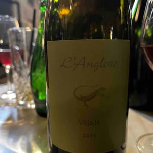 Véjade0 - L'Anglore - eric-thibault-joris-pfifferling -2021