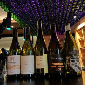 Veltliner - Martin Vajcner - martin-vajcner