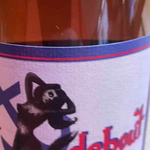 Vent Debout - Domaine Yoyo - laurence-manya-krief