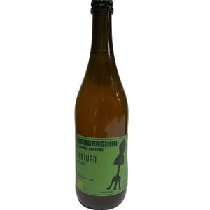 VENTURA - Signoraginni - giorgia-salierno