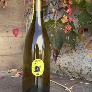 Vertù - Lusenti - Lodovica Lusenti -2022