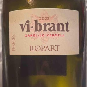 Vi brant - Penedes - caller-bonans -2022