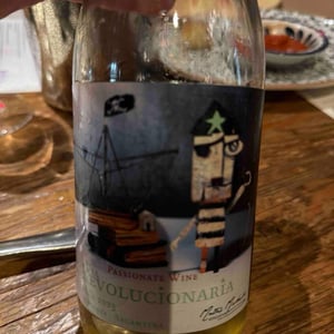 Via Revolucionária Godello Puro - Passionate Wine - matias-michelini-ve