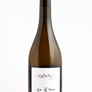 Via X Fora - Còsmic Vinyaters - salvador-batlle-barrabeig