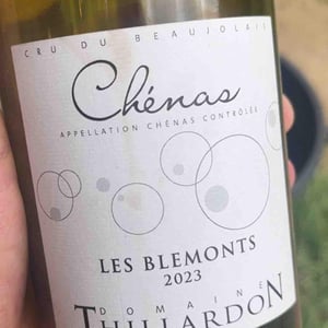 Vibrations - Domaine Thillardon - aude-jean-baptiste-charles-et-paul-henri-thillardon