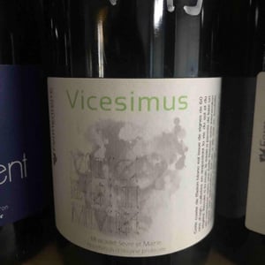 Vicesimus - Fermenterre - victor-cossy