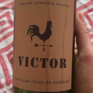 Victor - Gonzague Maurice - gonzague-maurice