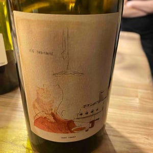 VIE ORDINAIRE - Henri Chauvet - henri-chauvet -2022