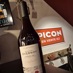 Vigne Derrière - Domaine Overnoy - guillaume-overnoy