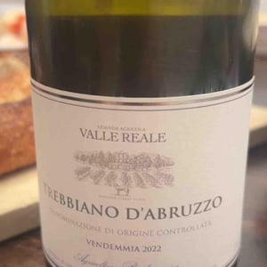 Vigneto Sant’Eusanio - Azienda Agricola Valle Reale - leonardo-pizzolo -2019