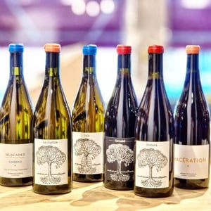 La Justice - Domaine de Bellevue - jerome-bretaudeau