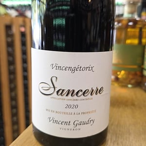 Vincengétorix - Vincent Gaudry - vincent-gaudry