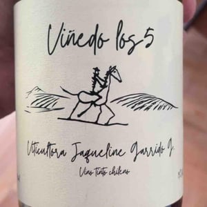 Viñedo los 5 - Viñedo los 5 - jaqueline-garrido -2024