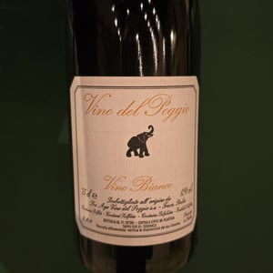 Vino Bianco - Vino del Poggio - andrea-cervini