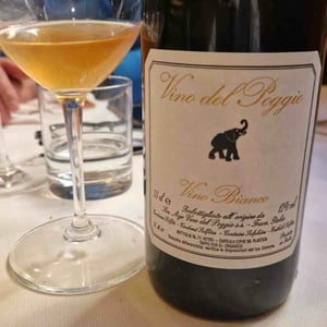 Vino Bianco - Vino del Poggio - andrea-cervini