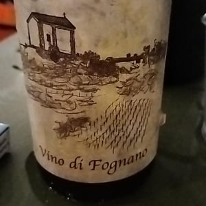 Vino Di Fognano - Fognano - paolo-foppiani