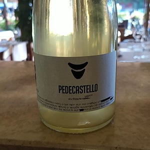 Vino Frizzante Bianco - Pedecastello - alex-della-vecchia-72 -2022